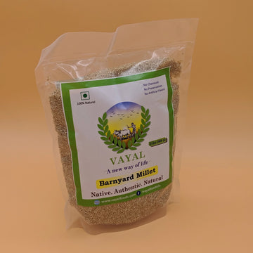 Kuthiraivali Millet In US - Vayalfoods